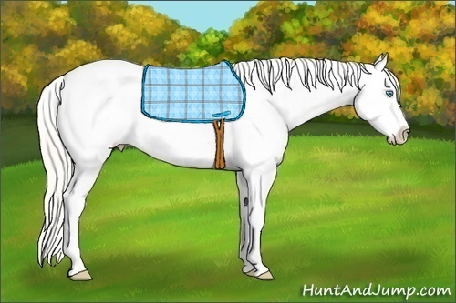 Horse Color:Silver Amber Champagne Pearl Appaloosa 
