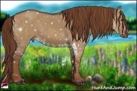 Horse Color:Red Dun Splash Brindle