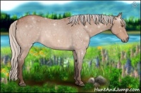 Horse Color:Silver Bay Roan 