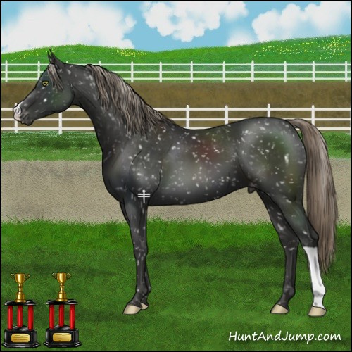 Horse Color:Liver Chestnut Mushroom Snowflake Varnish
