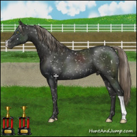 Horse Color:Liver Chestnut Mushroom Snowflake Varnish