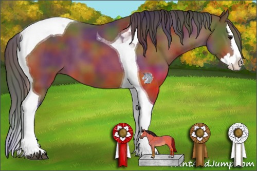 Horse Color:Nacre Brown Splash Tobiano 