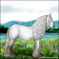 Horse Color:Gray Liver Chestnut 