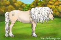 Horse Color:Silver Smoky Black Pearl Rabicano 