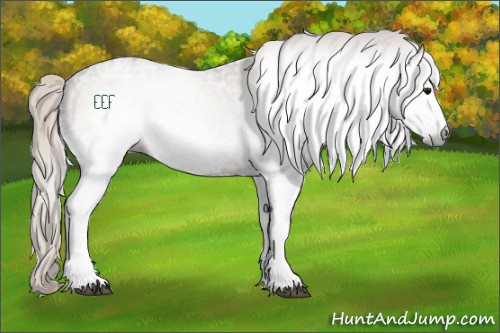 Horse Color:Gray White Spotted Silver Grullo Ice 