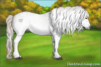 Horse Color:Gray White Spotted Silver Grullo Ice 