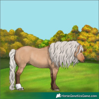 Horse Color:Silver Bay Dun Rabicano 