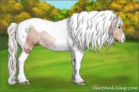 Horse Color:Silver Bay Ice Tobiano 