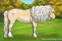 Horse Color:Silver Buckskin Ice Rabicano