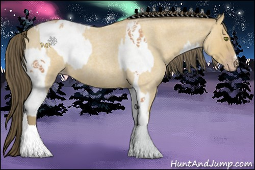 Horse Color:White Spotted Amber Champagne Appaloosa and Amber Cream Champagne Roan
