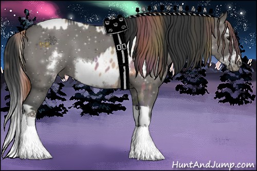 Horse Color:Nacre Bay Dun Splash Appaloosa  and Grullo Sabino Splash Frame 