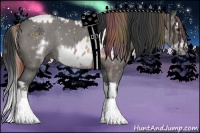 Horse Color:Nacre Bay Dun Splash Appaloosa and Grullo Sabino Splash Frame