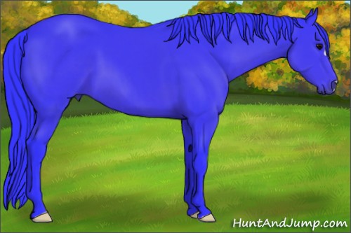 Horse Color:Watercolor Black 