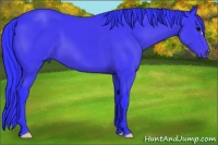 Horse Color:Watercolor Black