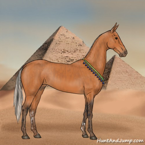 Horse Color:Bay  and Silver Bay 