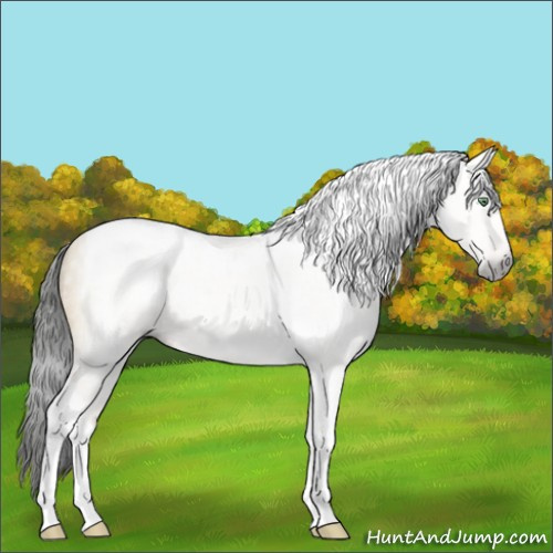Horse Color:Gray Amber Cream Champagne Dun Tobiano