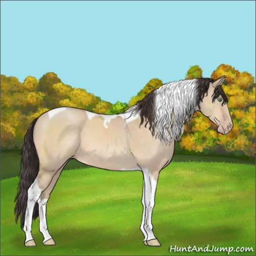 Horse Color:Sable Champagne Dun Tobiano