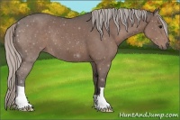 Horse Color:Silver Black 