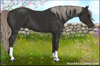 Horse Color:Gray Silver Black 