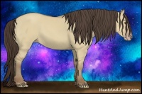 Horse Color:Classic Champagne Dun 