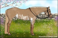 Horse Color:Red Dun Splash  Brindle
