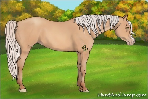 Horse Color:Silver Amber Champagne 