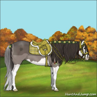 Horse Color:Smoky Black Splash