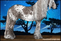 Horse Color:White Spotted Silver Grullo Snowflake Varnish
