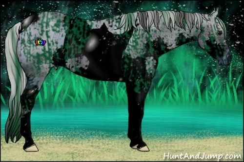 Horse Color:ERROR: UNKNOWN ANOMALY and ERROR: UNKNOWN ANOMALY