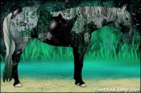 Horse Color:ERROR: UNKNOWN ANOMALY and ERROR: UNKNOWN ANOMALY