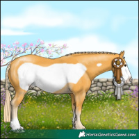 Horse Color:Palomino Frame