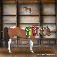 Horse Color:Bay Roan Tobiano Rabicano 