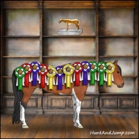 Horse Color:Bay Tobiano Rabicano