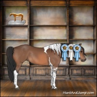 Horse Color:Bay Tobiano Rabicano