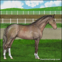Horse Color:Liver Red Roan Mushroom Snowflake Varnish 
