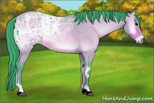 Horse Color:Watercolor Bay Ice Roan Onyx 