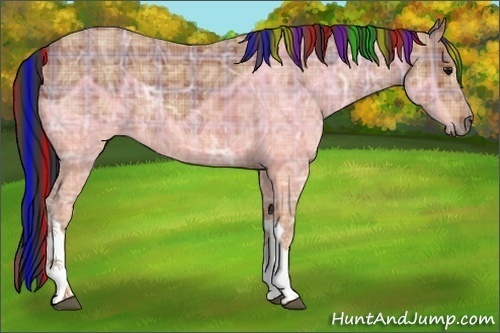 Horse Color:Painted Plaid Bay Ice