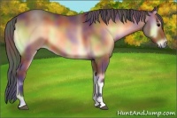 Horse Color:Nacre Bay Onyx