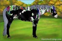 Horse Color:Watercolor White Spotted Blue Onyx Ice Frame Rabicano