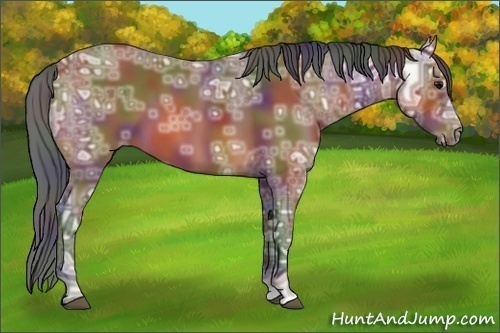 Horse Color:Nacre Bay Ice 