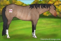 Horse Color:Brown Dun Rabicano 