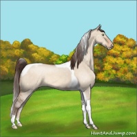 Horse Color:Sable Champagne Dun Tobiano Snowflake Varnish 