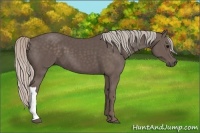Horse Color:Silver Black 