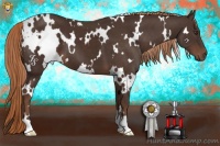 Horse Color:White Spotted Liver Chestnut 
