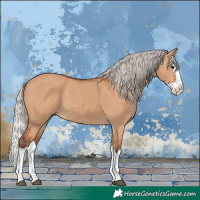 Horse Color:Silver Bay Dun Splash