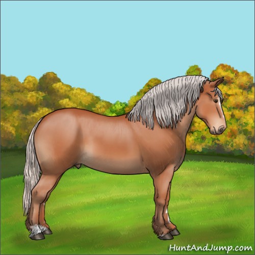Horse Color:Silver Brown Sabino 