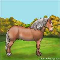 Horse Color:Silver Brown Sabino