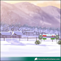 Horse Color:Red Dun Tobiano Appaloosa Rabicano 