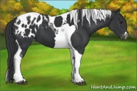 Horse Color:Black Tobiano Blanket 