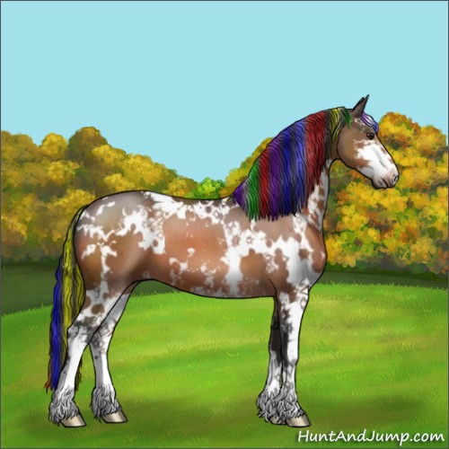 Horse Color:Painted White Spotted Brown Sabino 